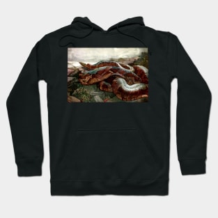 Jungle Book - Kaa the Python - Detmold Brothers Hoodie